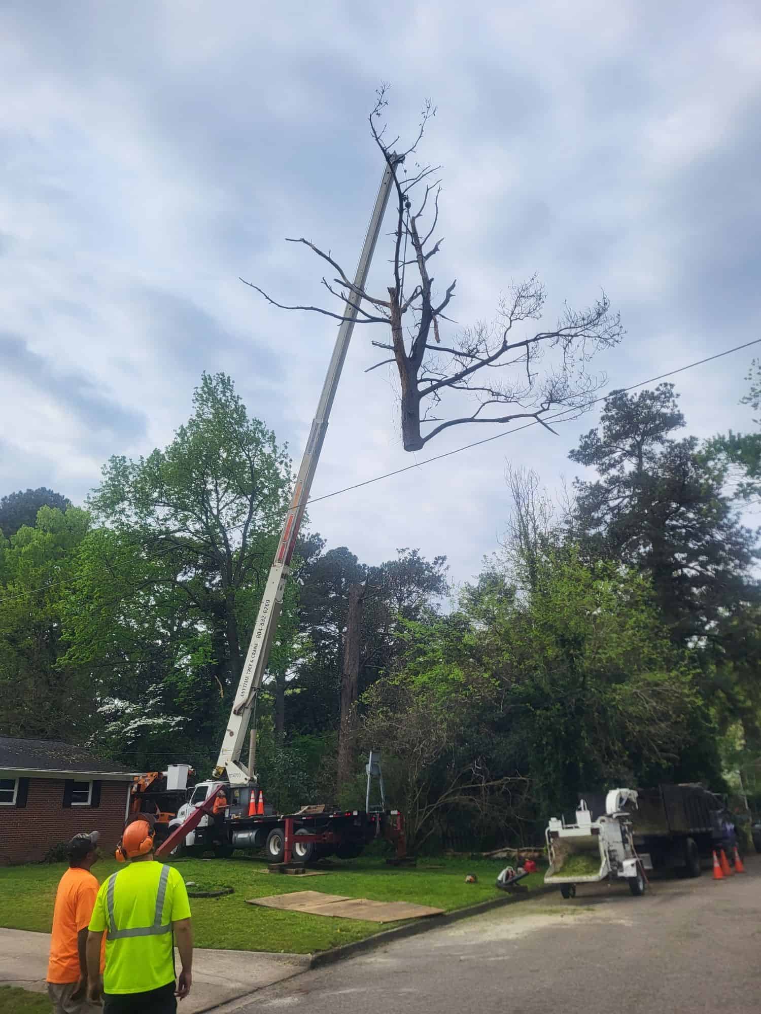 Crane Services image