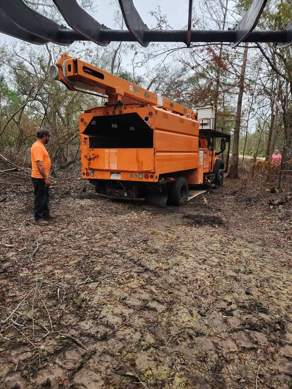 Emergency Tree Services image