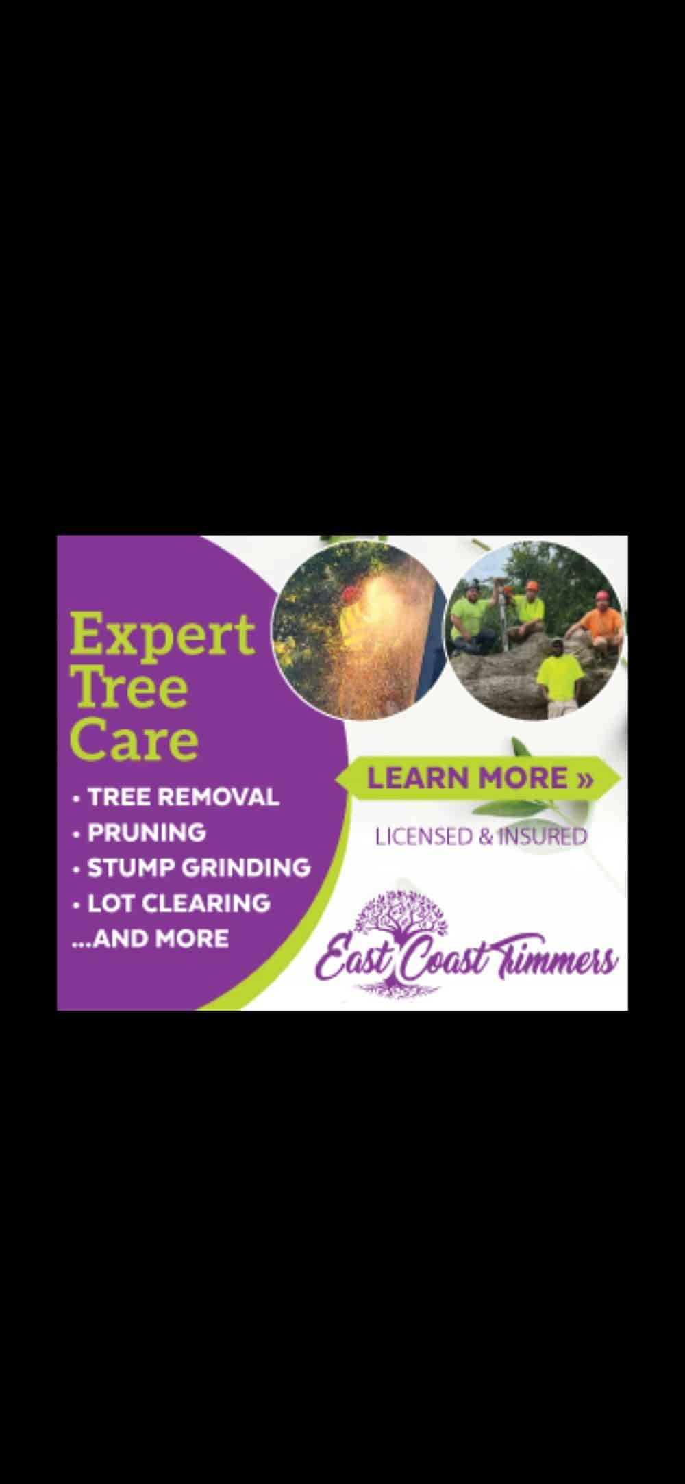 Arborist Consulting image