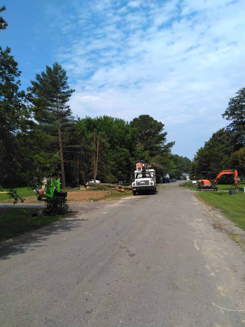 Storm Damage Cleanup image
