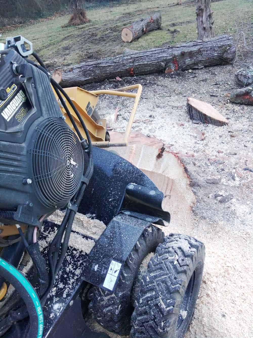 Stump Removal image