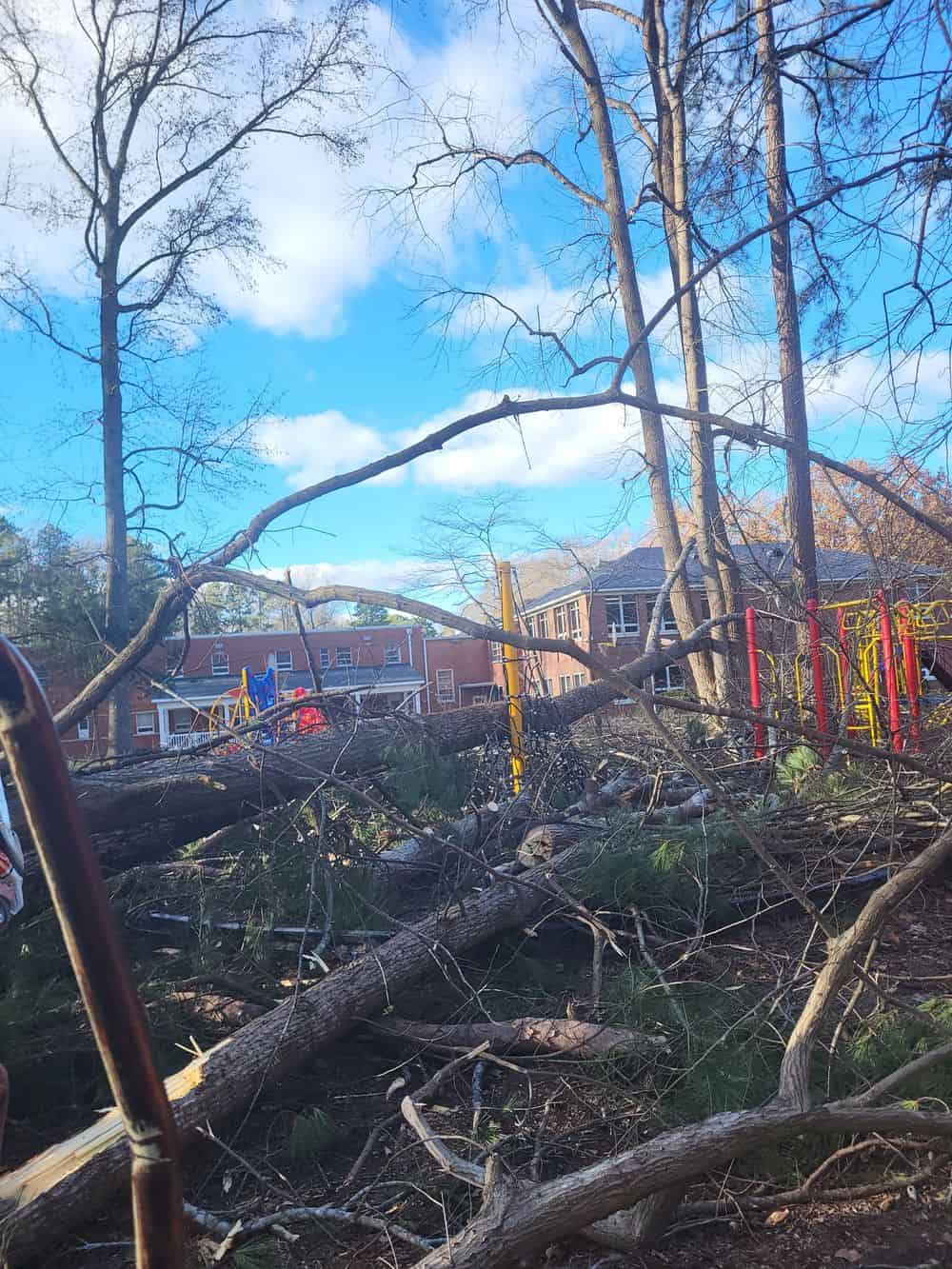 Storm Damage Cleanup image