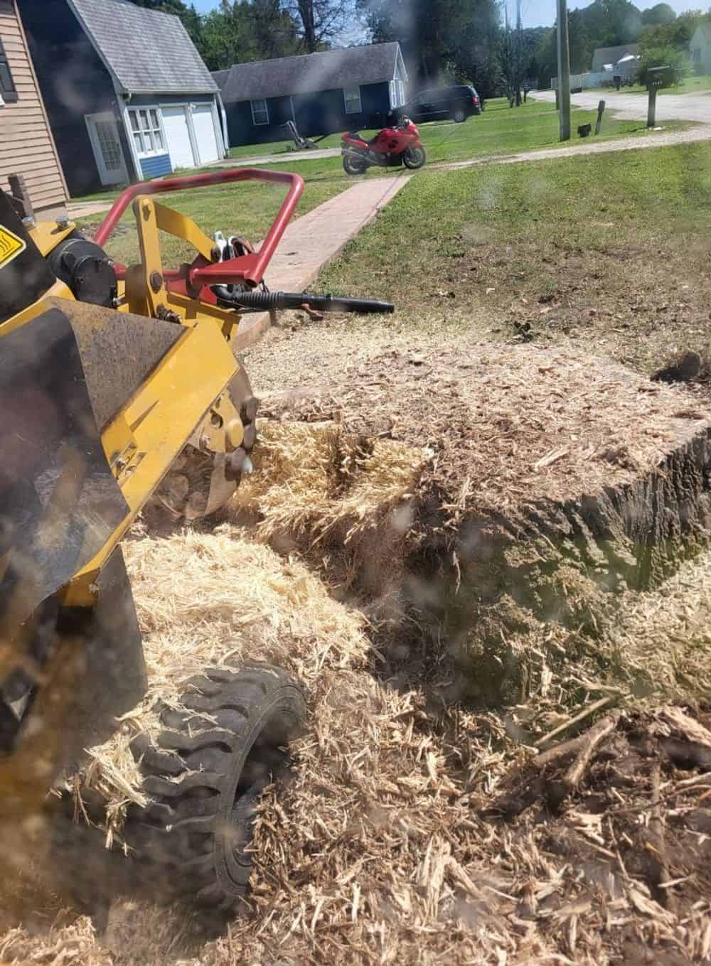 Stump Grinding image
