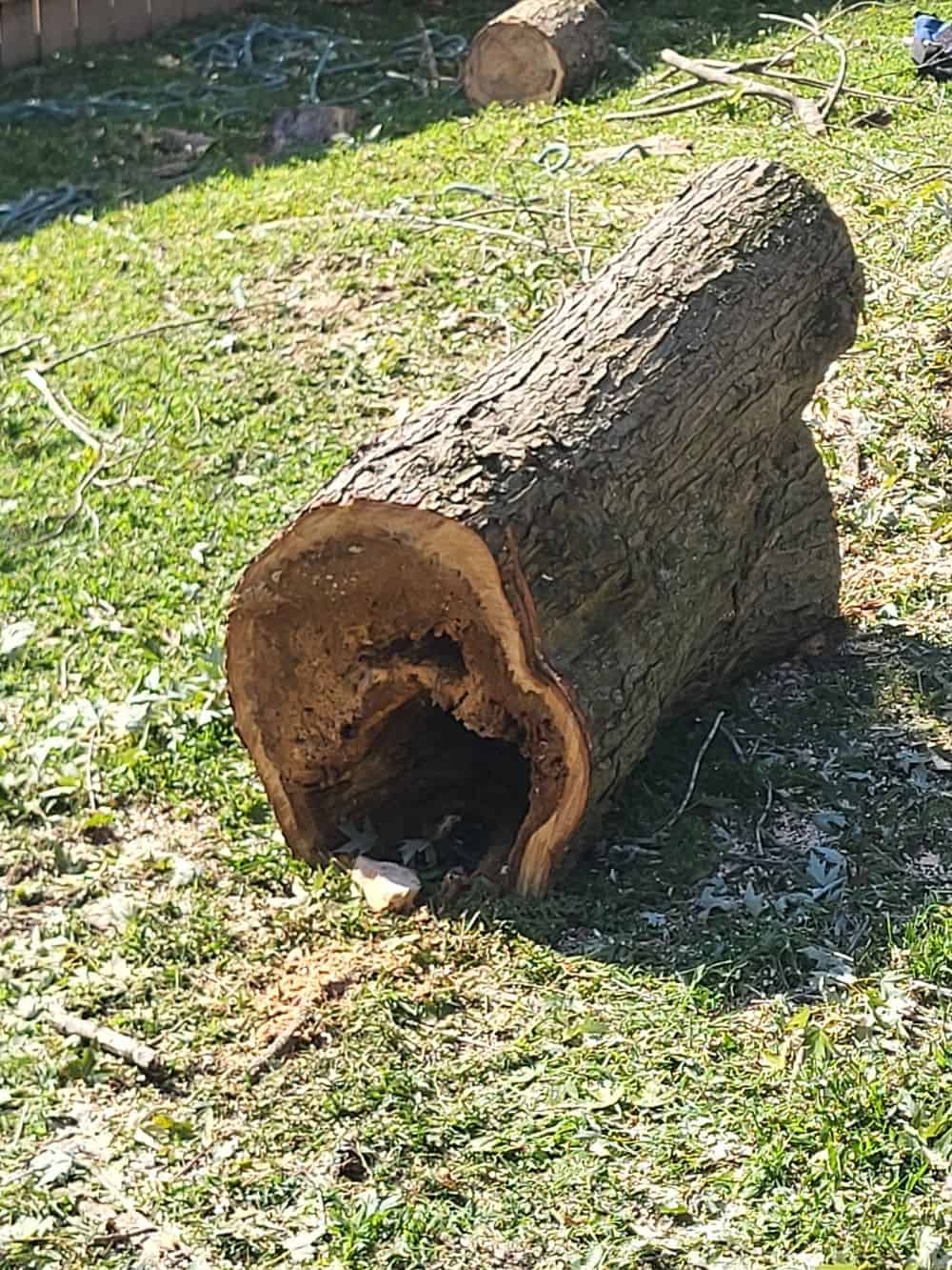 Stump Removal image
