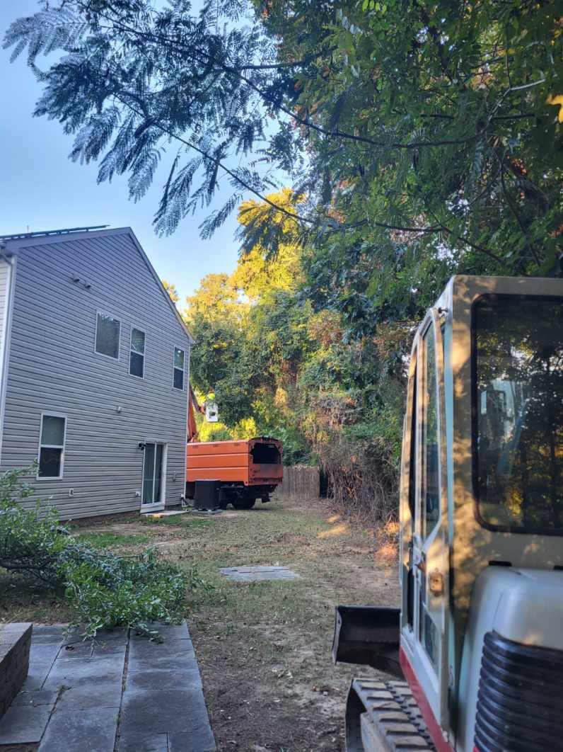 Project Clearing the Path in Williamsburg image