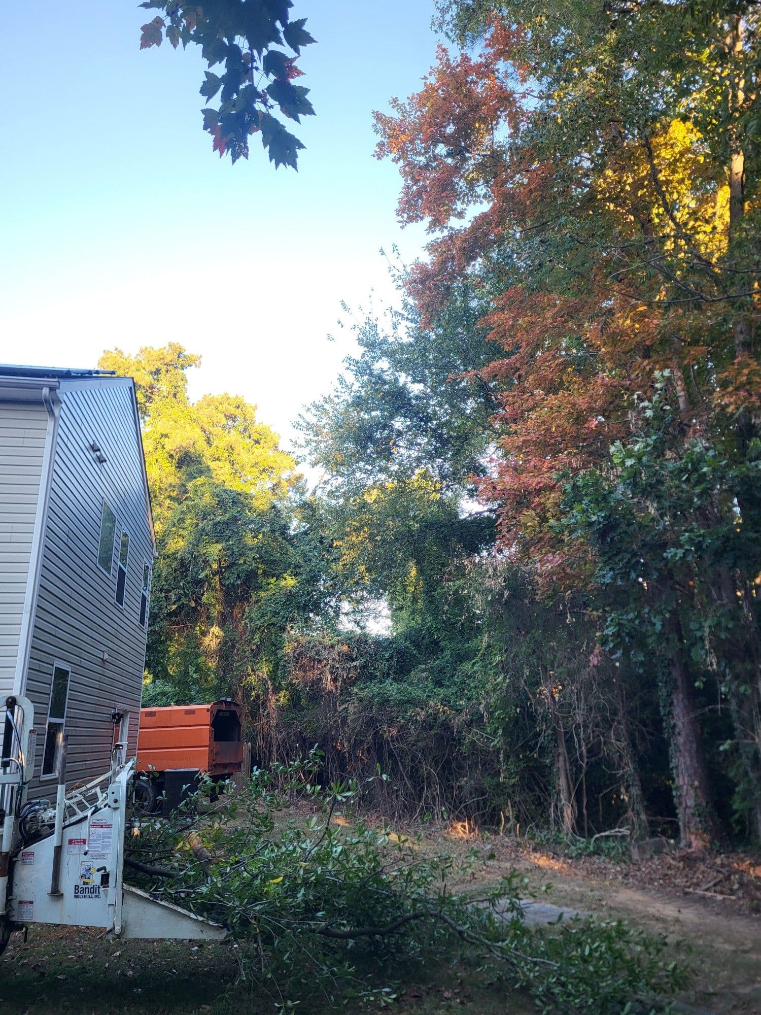 Gallery photos for Clearing the Path in Williamsburg: Image #1