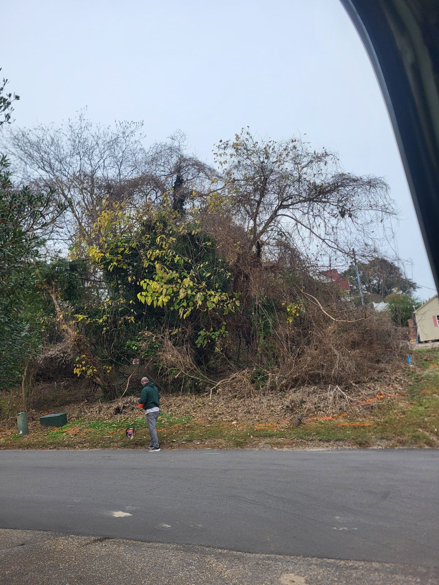 Gallery photos for Lot Clearing and Brush Removal at Yorktown Pub: Image #1