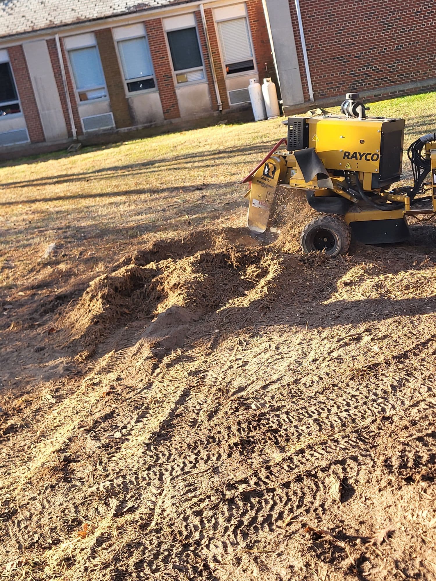 Stump Grinding in Williamsburg