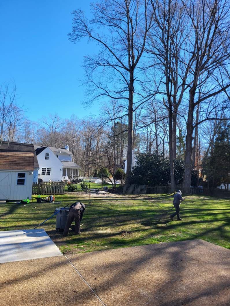 Project Red Oak Removal in Williamsburg image