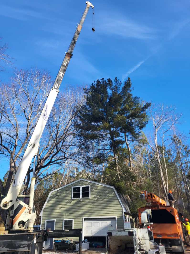 Storm Damage Tree Removal Specialists at East Coast Trimmers