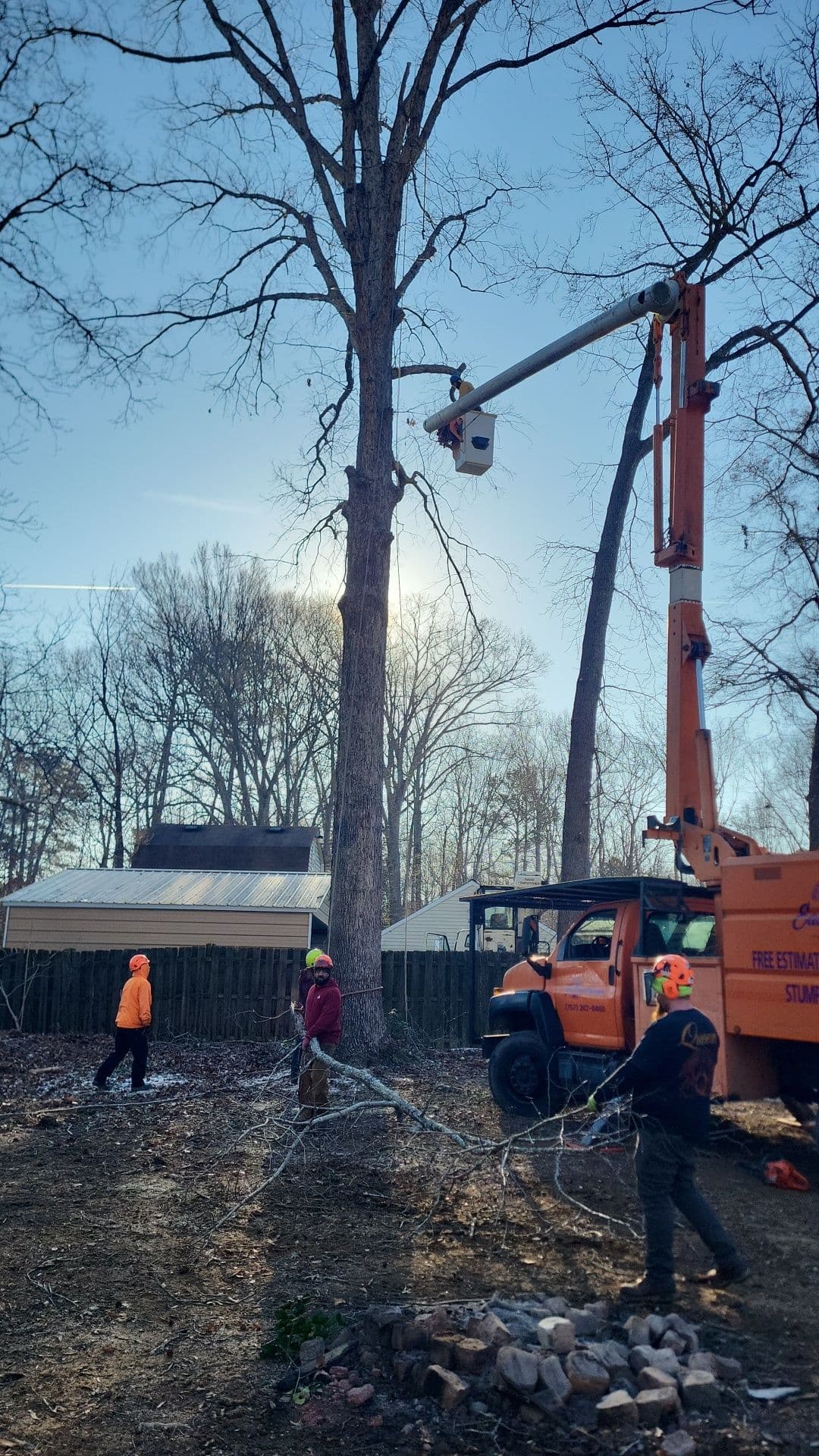 Gallery photos for Safe Tree Removal in Williamsburg: Image #1