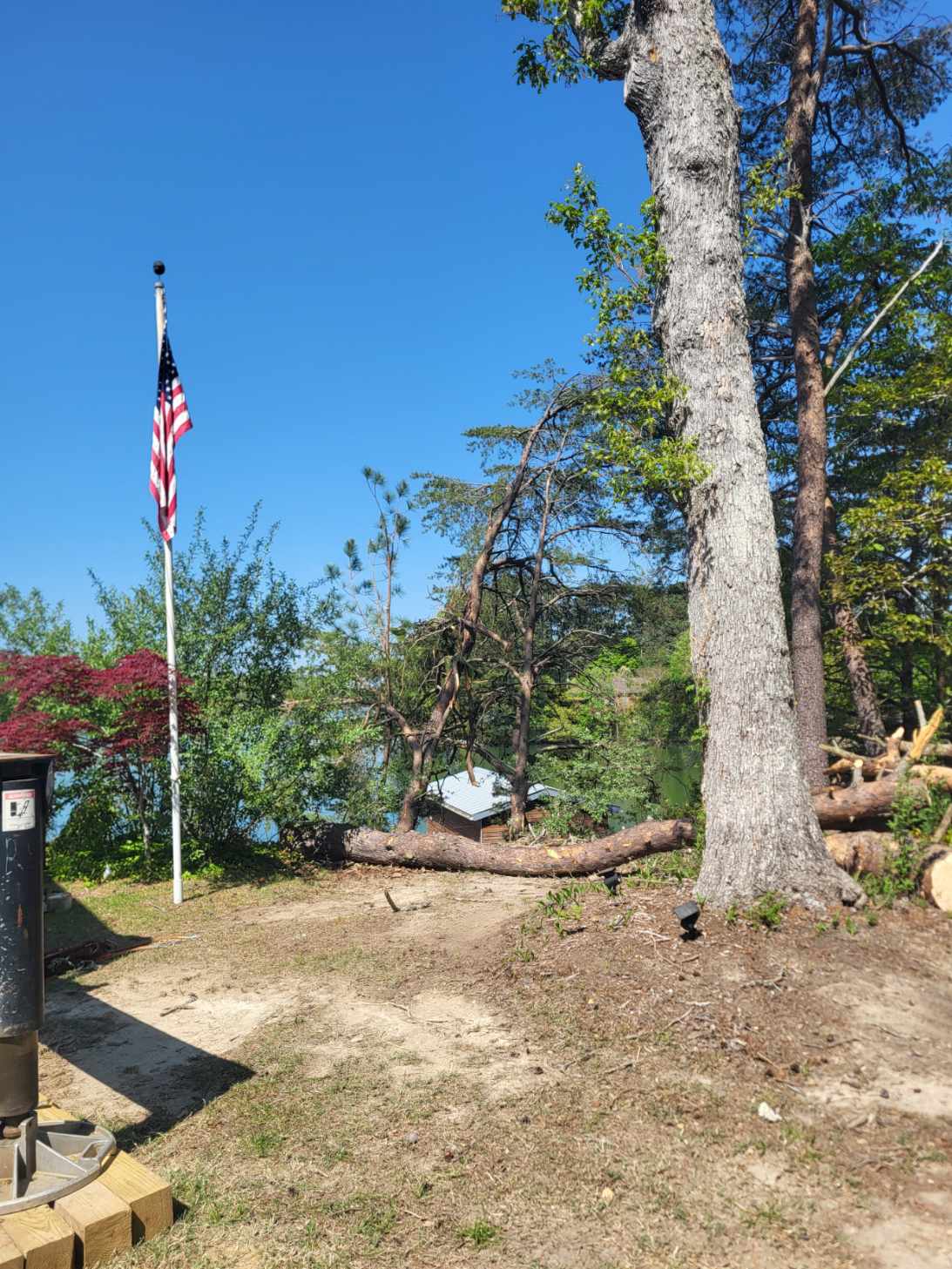 Crane Tree Removal Over a Waterfront Boat House image