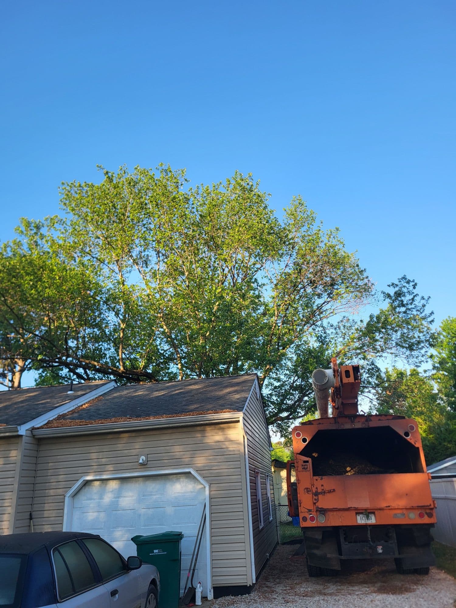 Maple Tree Removal Over a House Done Right image