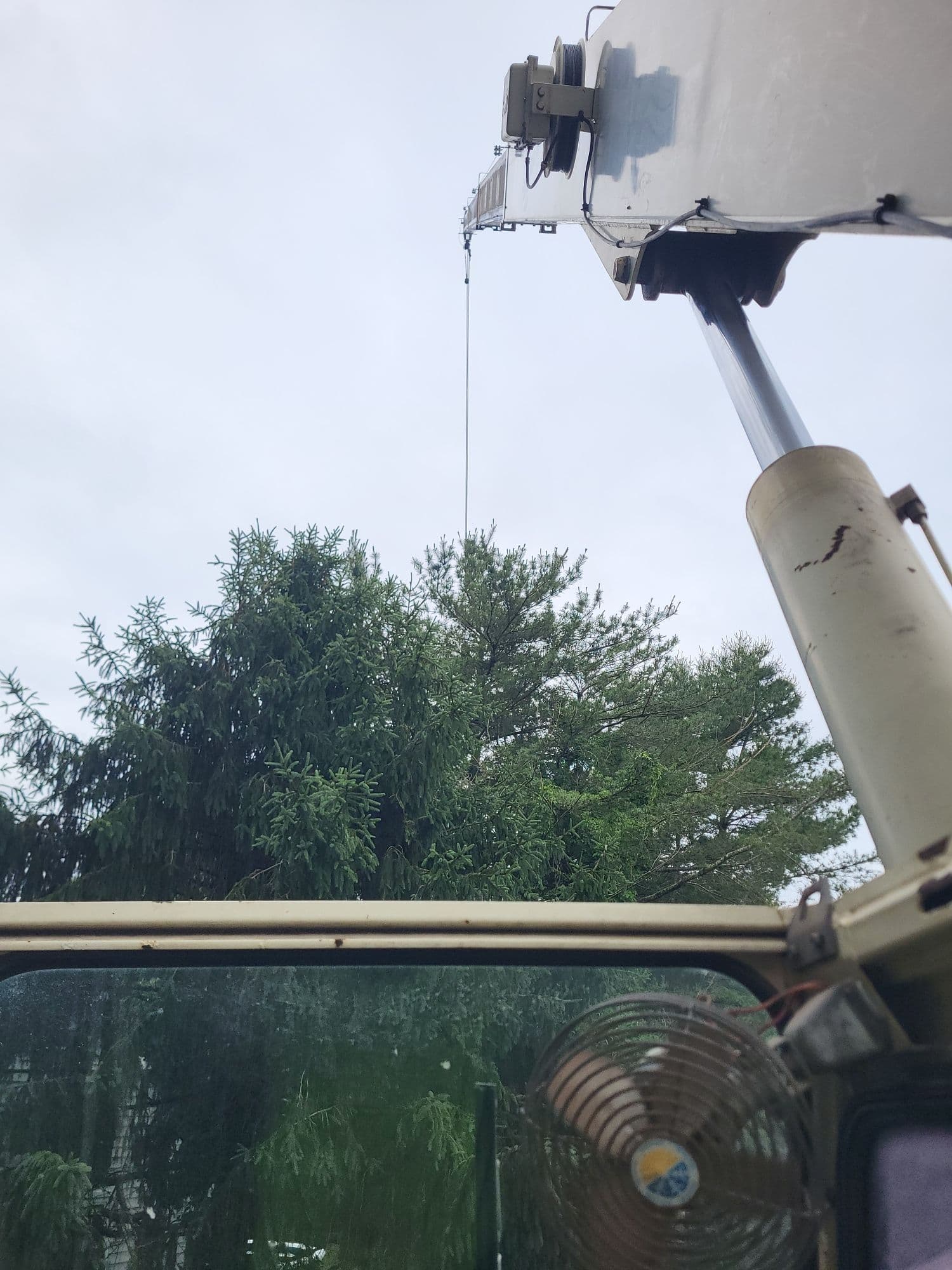 Gallery photos for Crane-Assisted White Pine Removal in Gloucester: Image #1