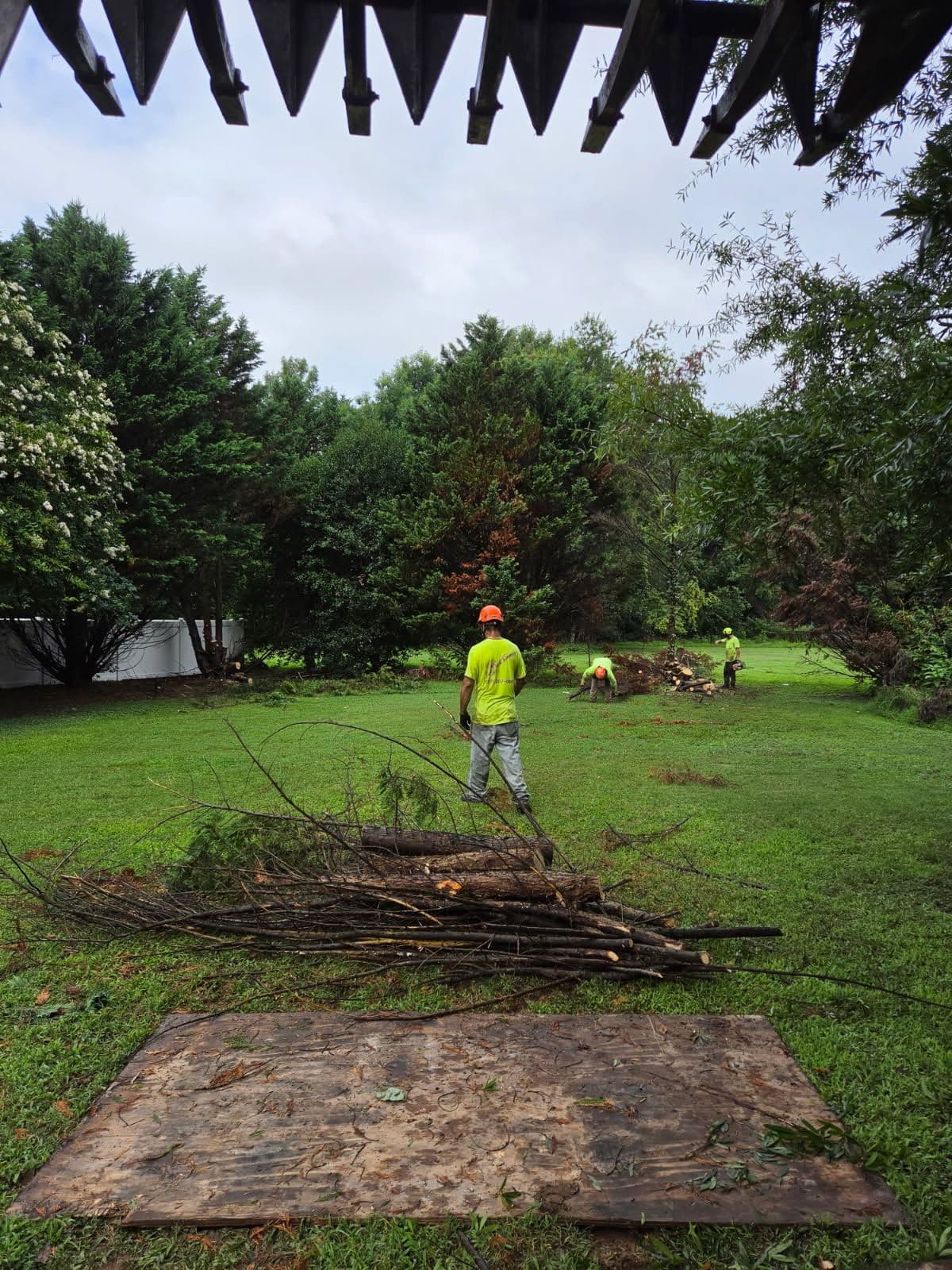 Project Dead Leyland Cypress Removal Done Right image