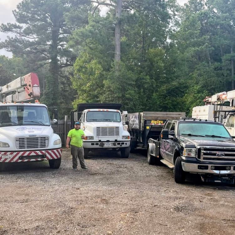 About East Coast Trimmers: Expert Tree Services & Community Care