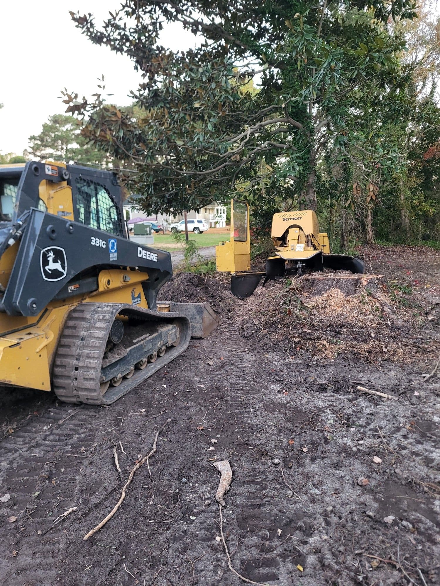 Transforming Spaces with Precision Stump Grinding image