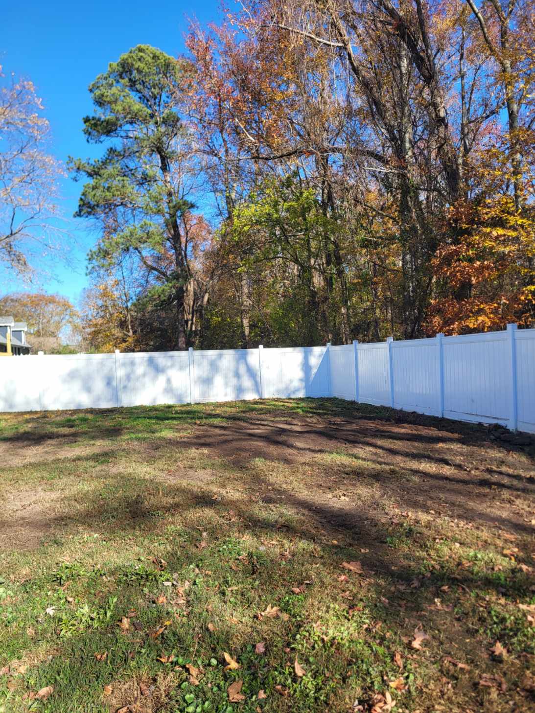 Gallery photos for Safe Yard Restoration with Expert Tree Services: Image #1