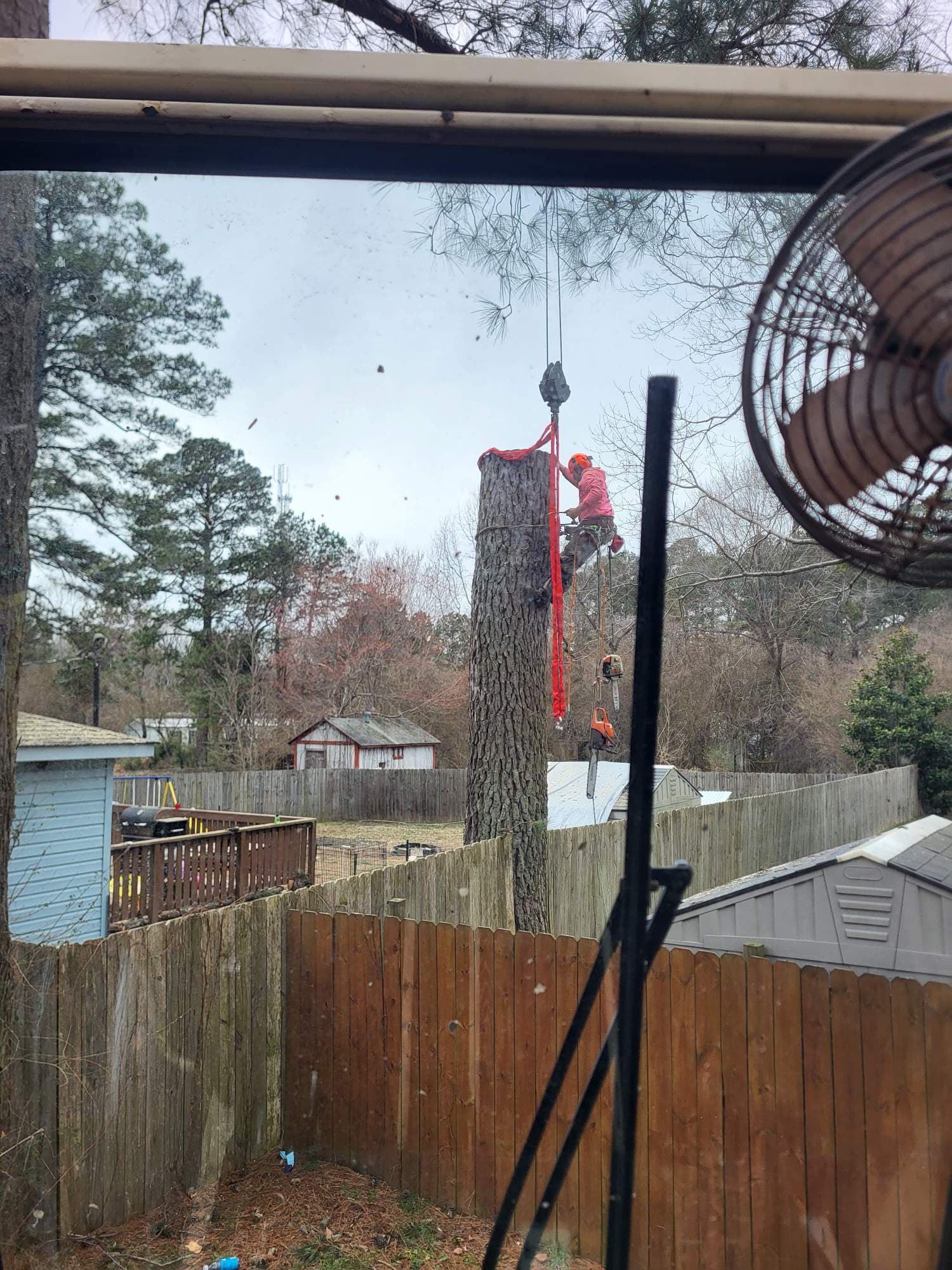 Efficient Tree Removal with Crane Expertise image