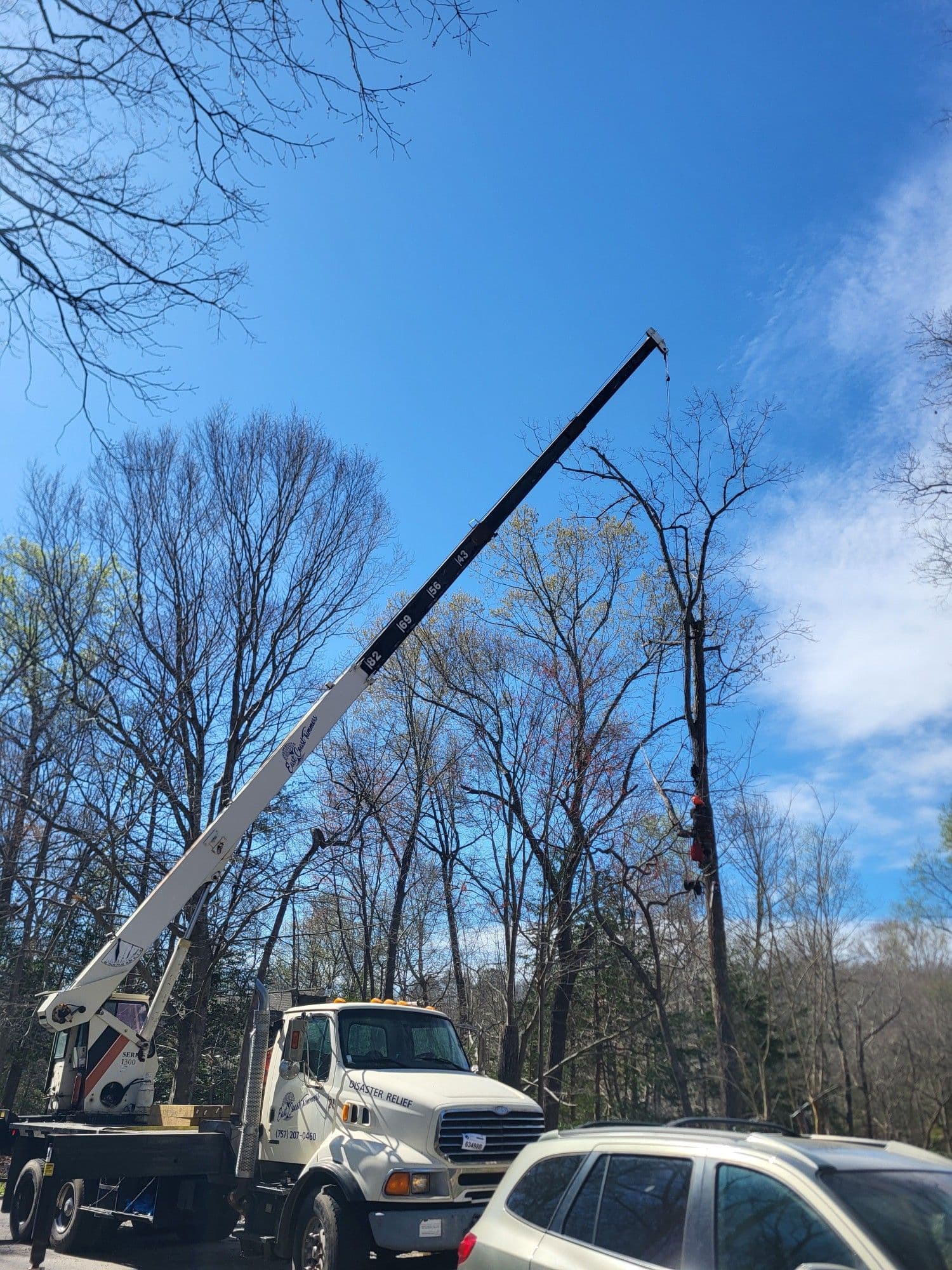 Gallery photos for Precision Tree Removal Using Crane Expertise: Image #1