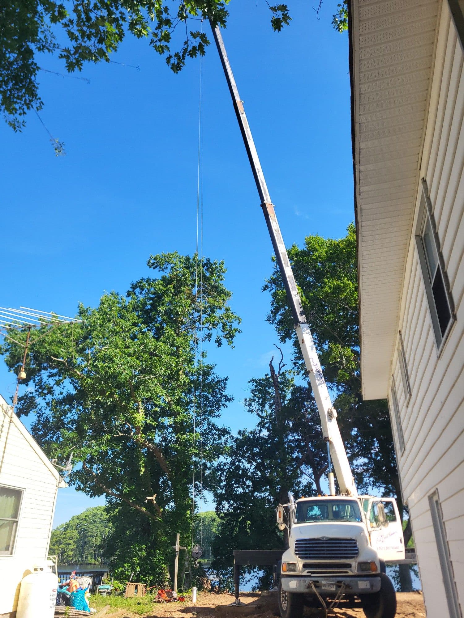 White Ash Removal Over a Dock Using a Crane image