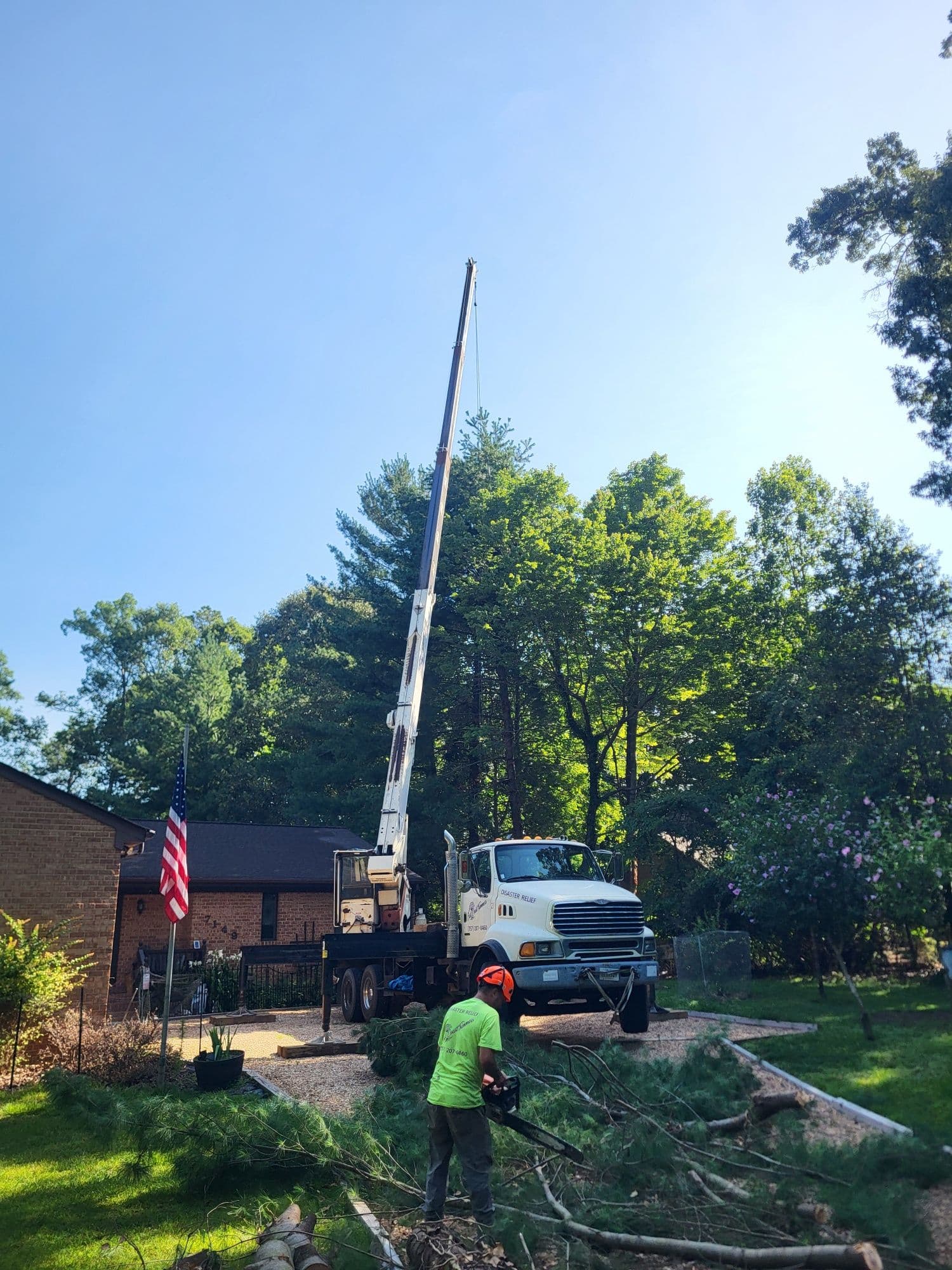 Crane-Assisted White Pine Removal Done Right image
